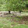 Oiniadae - Boulefterion