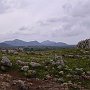 Oiniadae - House on the Hill
