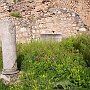 Delphi 1