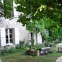 Under the chestnut tree - July