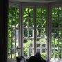 Lena reading at the back window.
