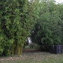Compost heaps and bamboo forests