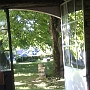 Blanche neige, the cat, in  the entrance to the barn.