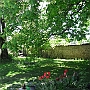 The courtyeard looking under the chestnut and the lime tree