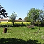The back garden