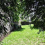 Looking through the bamboos