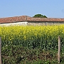 Nicole's farmhouse